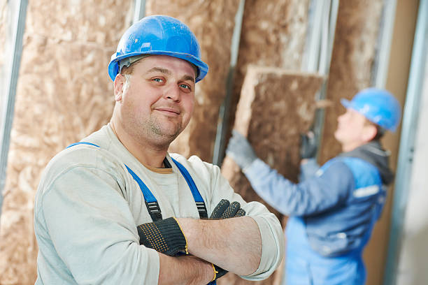 Best DIY Insulation Kits and Guidance in Grantville, GA